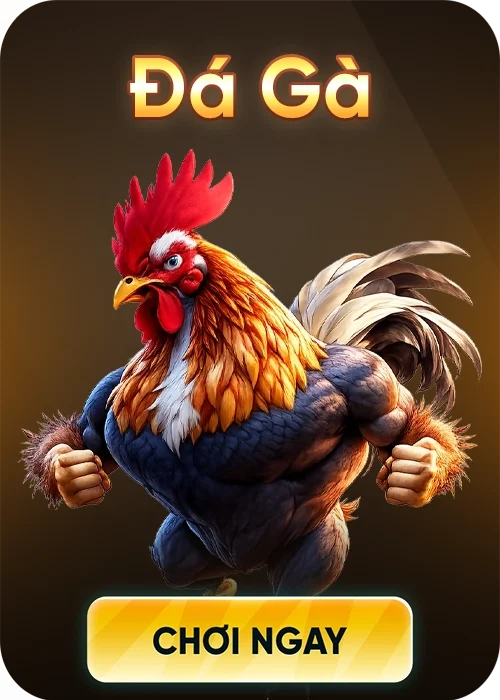 ÄÃ¡ GÃ 